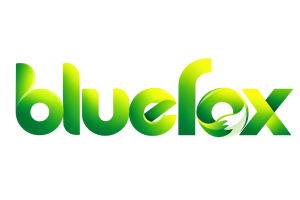 fun